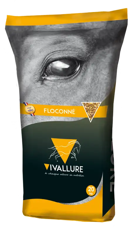 VIVALLURE CLUB FLOCONNE