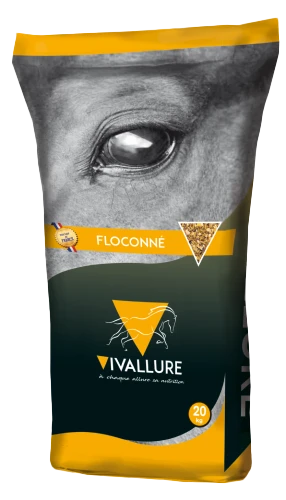 VIVALLURE ELITE FLOCONNE